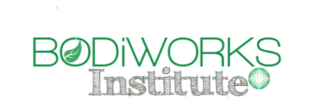 bodiworks institute logo